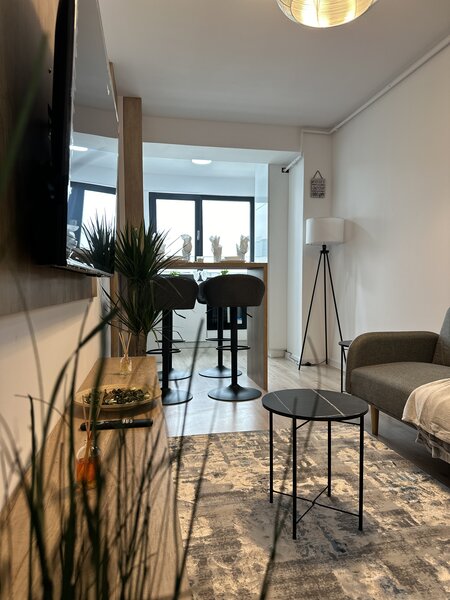 Ivory Residence apartament 2 camere comision 0%